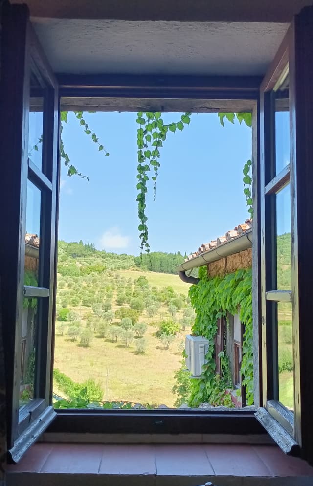 landscape image